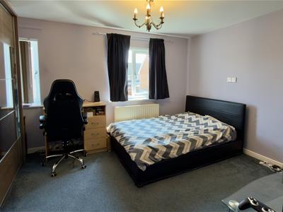 Picture 20